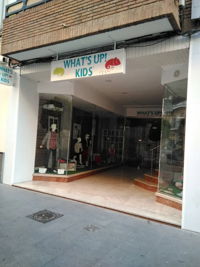 Street Monkey