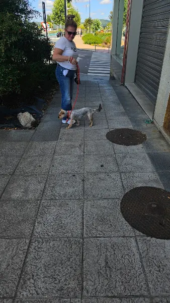 GOCCO El Corte Inglés Sevilla - San Juan de Aznalfarache